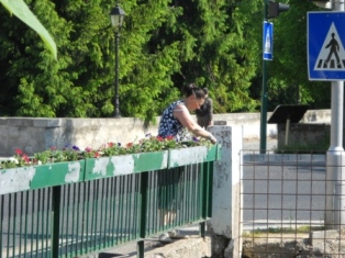 Malom&aacute;gi Lajta h&iacute;d vir&aacute;gos&iacute;t&aacute;s