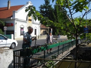 Malom&aacute;gi Lajta h&iacute;d vir&aacute;gos&iacute;t&aacute;s