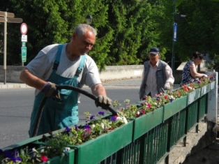 Malom&aacute;gi Lajta h&iacute;d vir&aacute;gos&iacute;t&aacute;s
