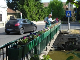 Malom&aacute;gi Lajta h&iacute;d vir&aacute;gos&iacute;t&aacute;s